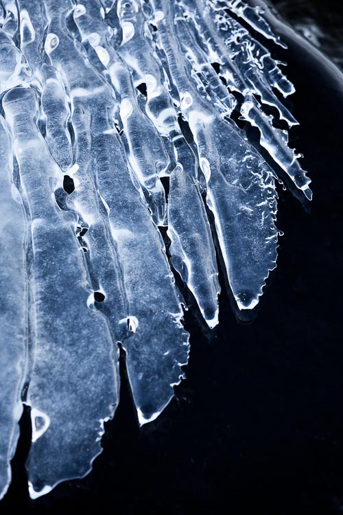 abstract ice feathers